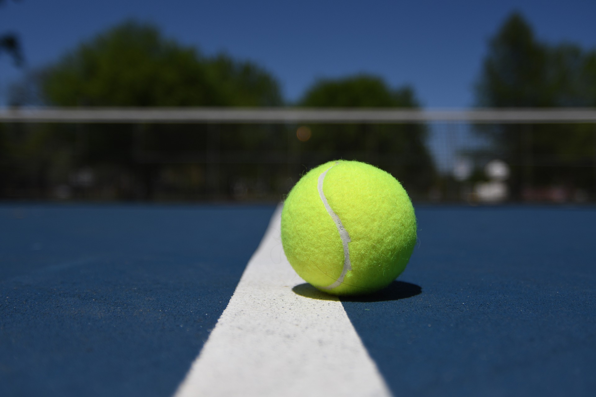 Tennis Files Membership